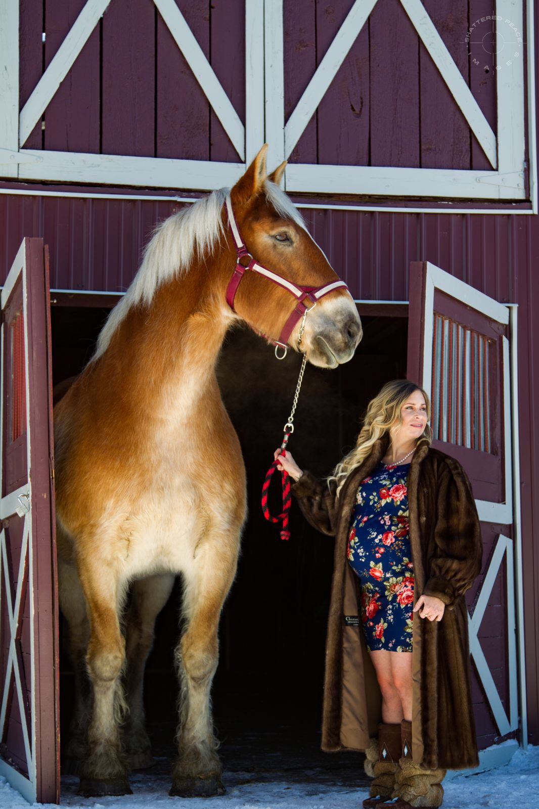 0dbf7c25-be57-41a7-8197-20c8b4c97252